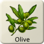 Celtic Tree - Olive