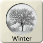 Season - Winter