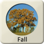 Season - Fall