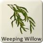 Celtic Tree - Weeping Willow