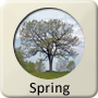 Astrology Season - Spring