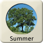 Astrology Season - Summer