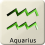 Western Zodiac Star Sign - Aquarius